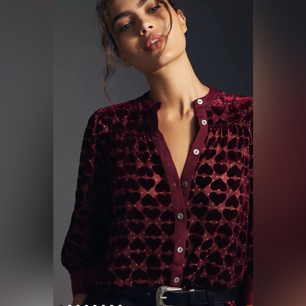 Anthropologie Maeve Velvet Burnout Blouse Small